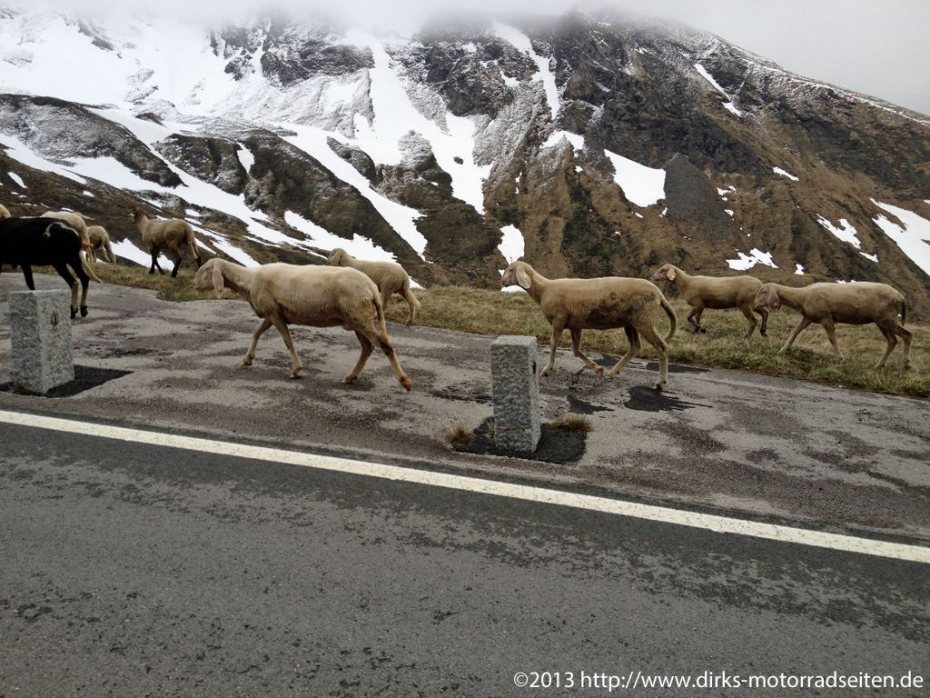 Grossglockner Hochalpenstraße