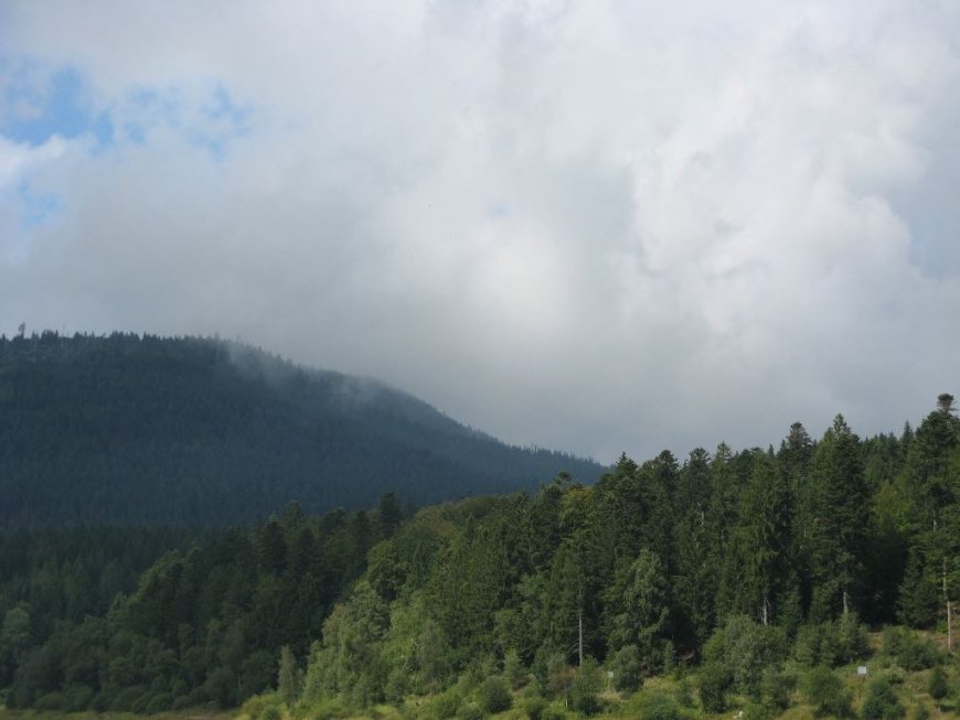 Schwarzenbachtalsperre