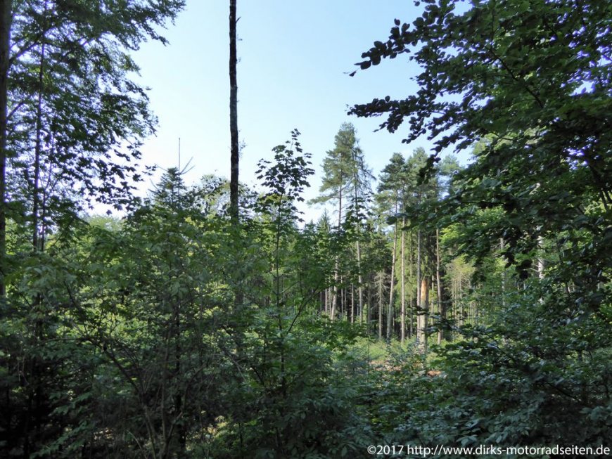 bei Bad Griesbach im Rottal