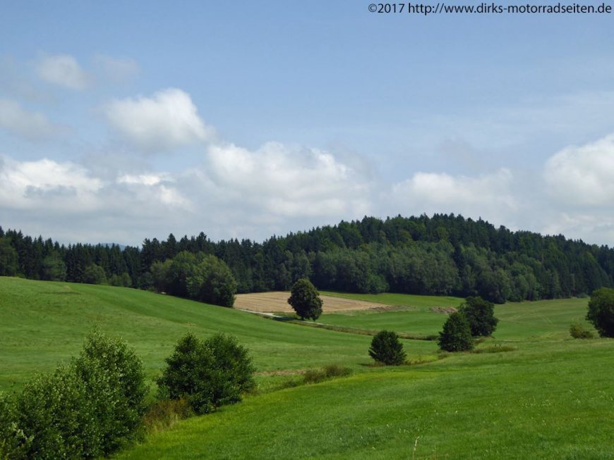 bei Kirchberg im Wald
