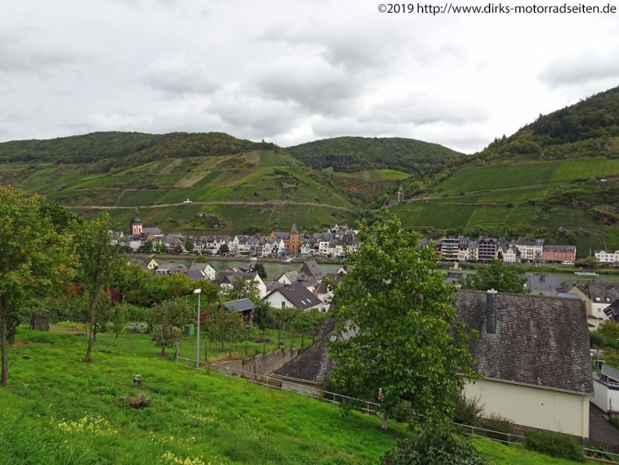 Zell
