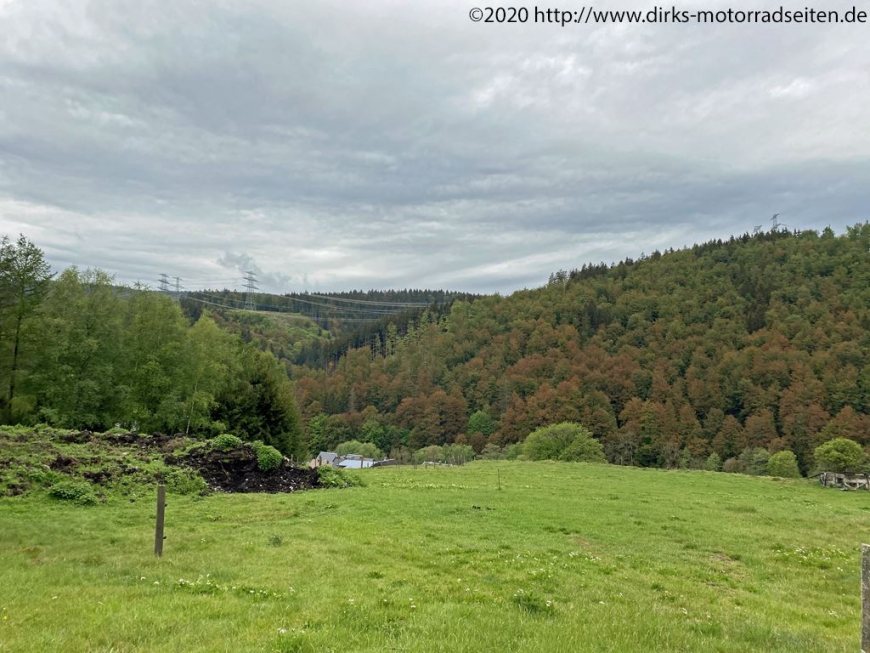 bei Frauenwald / Rennsteig