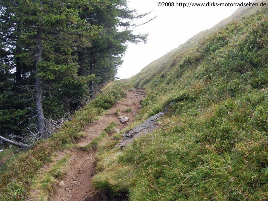 Rundgang auf dem Belchen