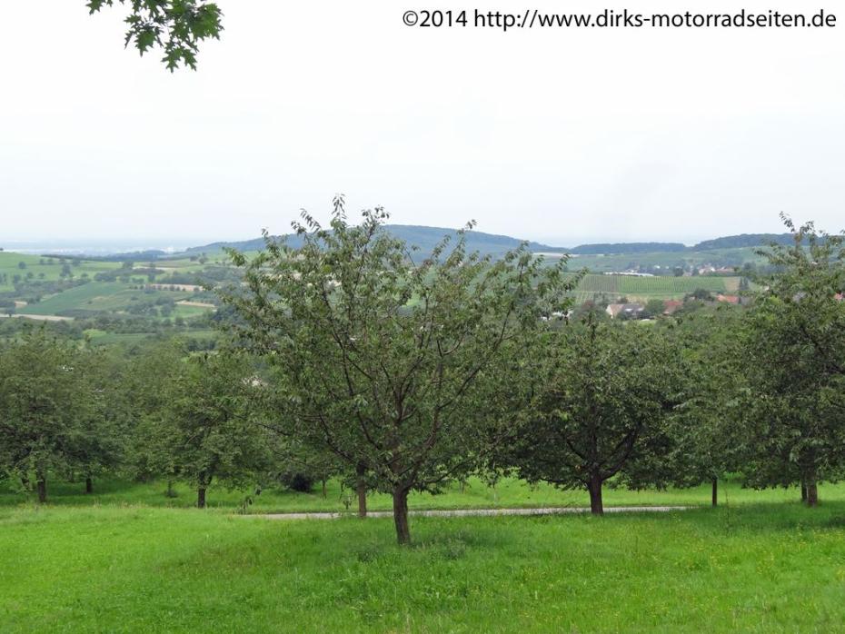 Schallsingen