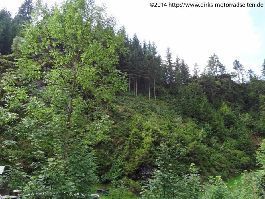 Furtwangen-Neukirch
