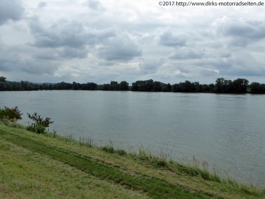 Donau bei Metten