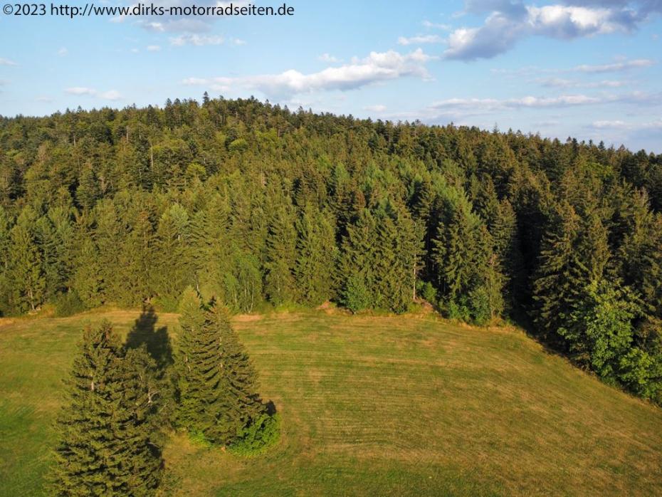 Bayerischer Wald